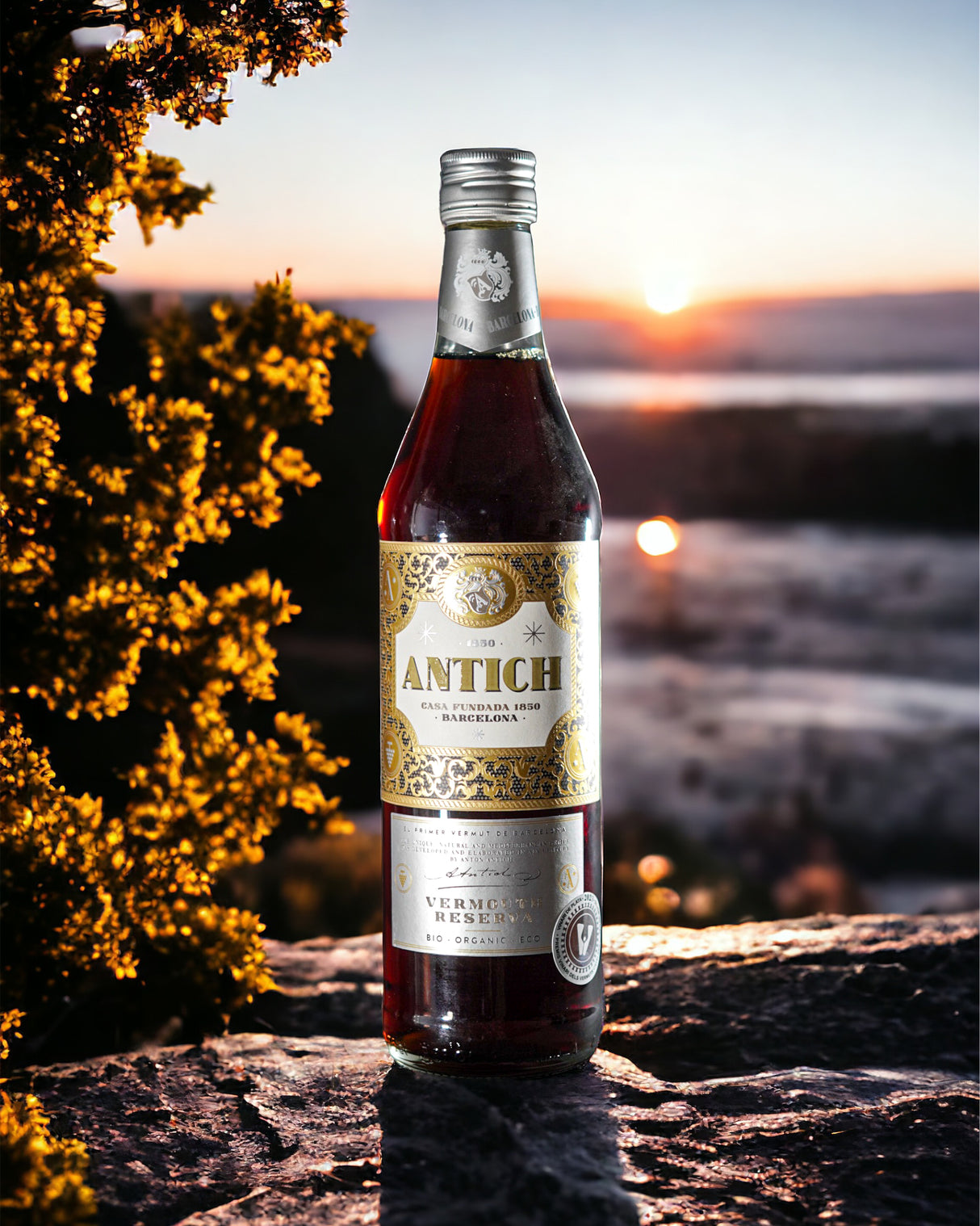 Antich Vermut Reserva