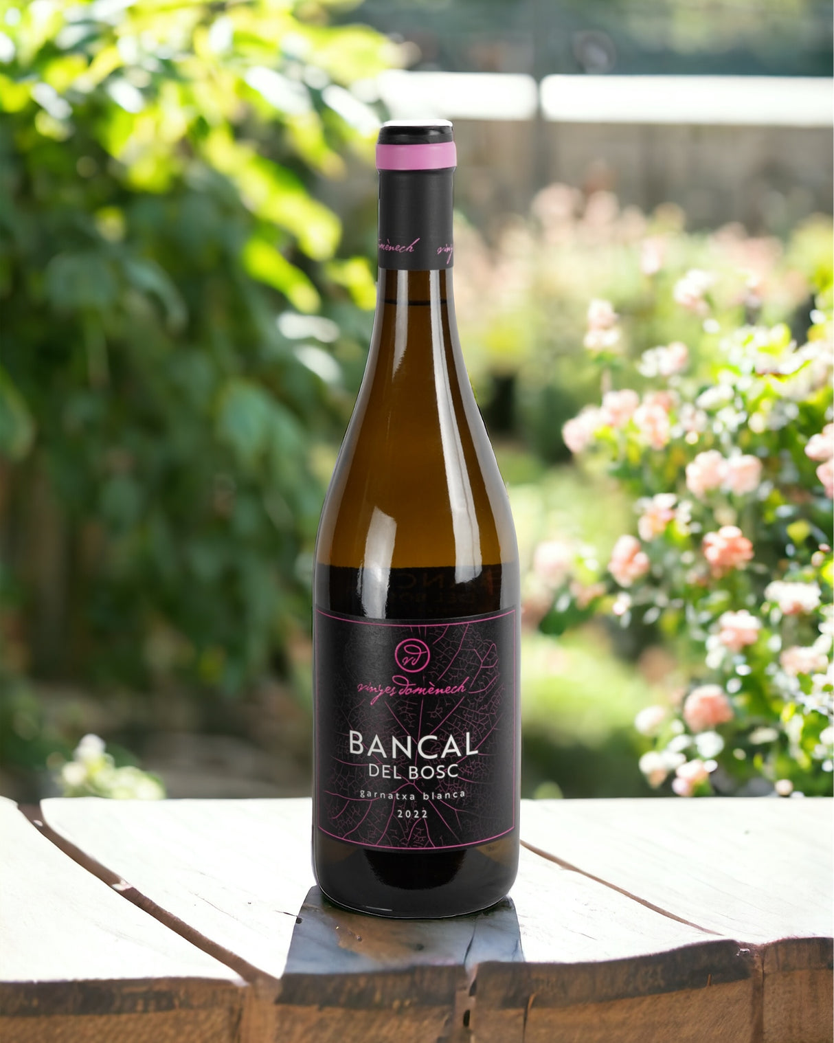 Bancal Del Bosc 2023