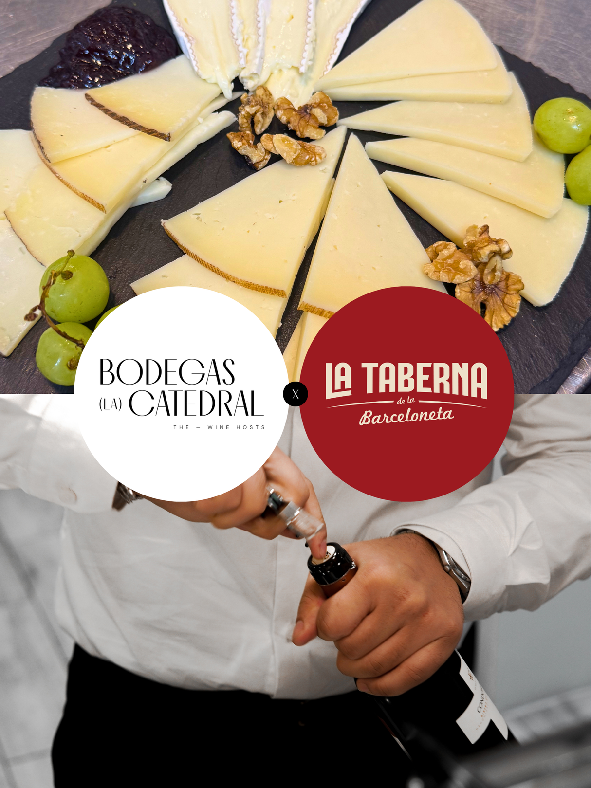 Wine Tasting at La Taberna de la Barceloneta