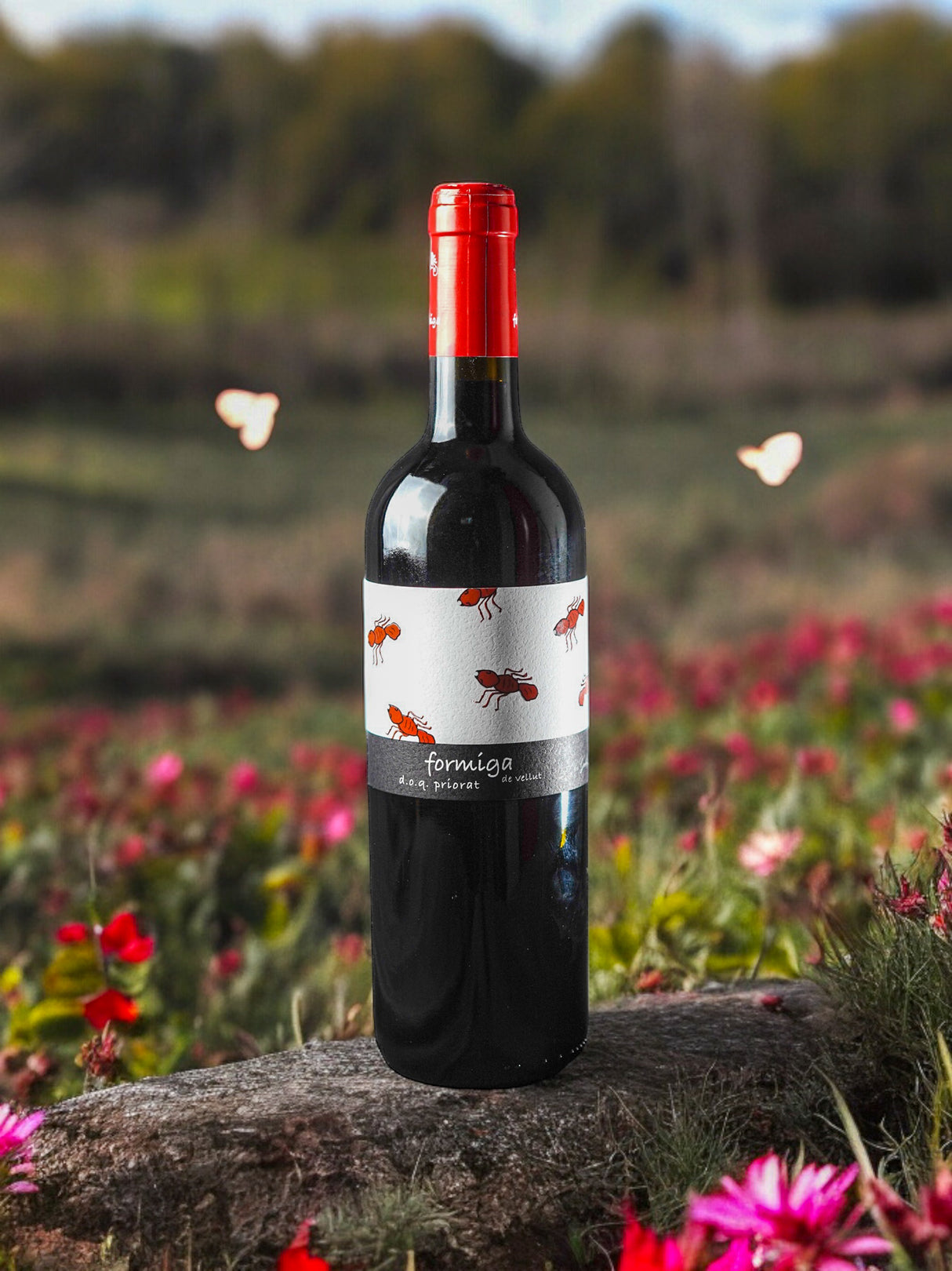 Formiga de Vellut 2021