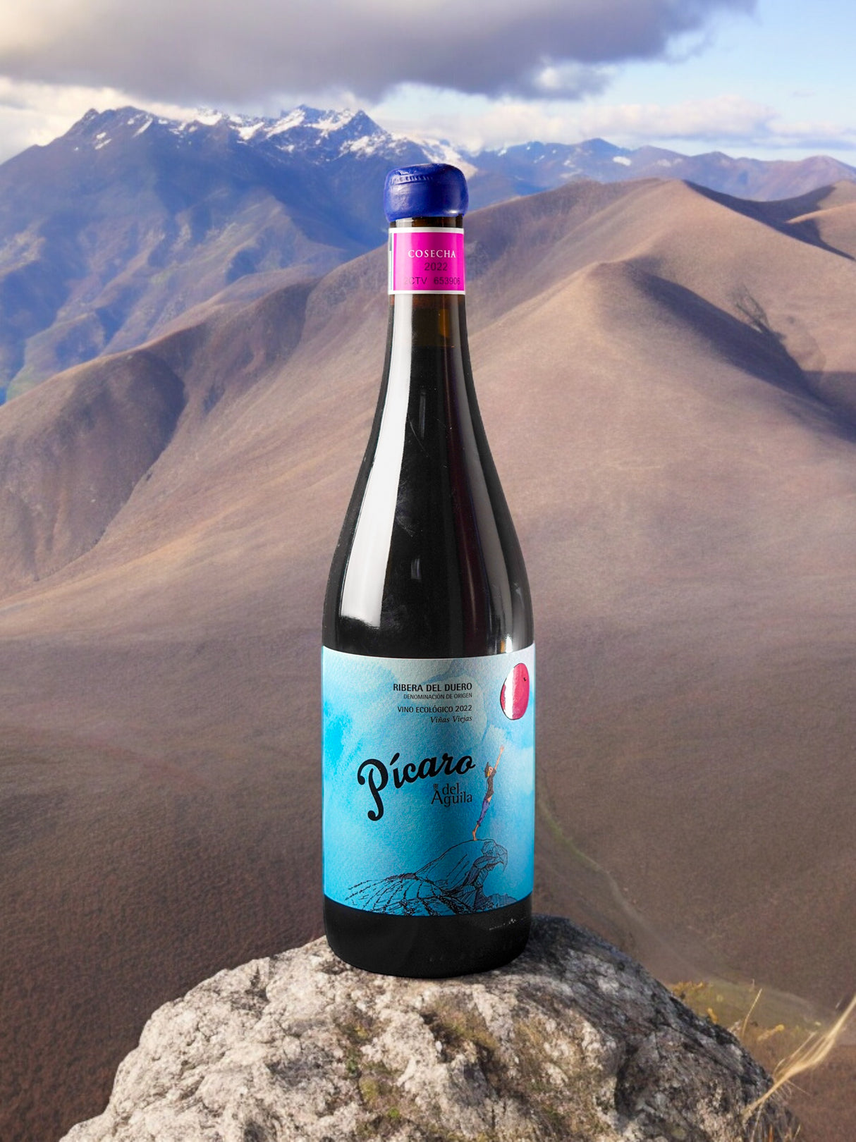 Pícaro del Águila Tinto 2022