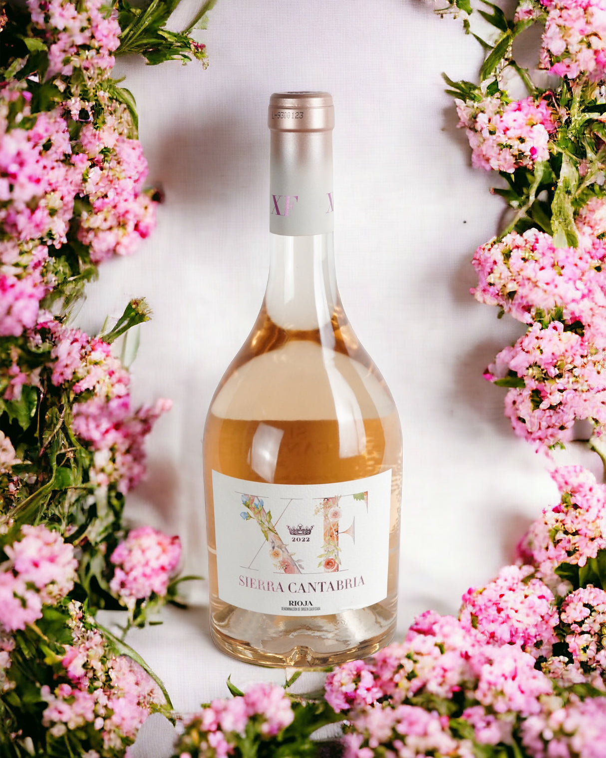 Sierra Cantabria XF 2024