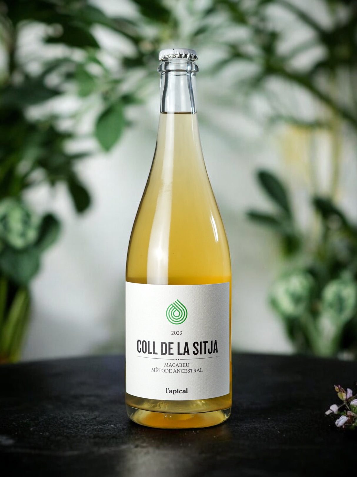 Coll de la Sitja Ancestral 2023