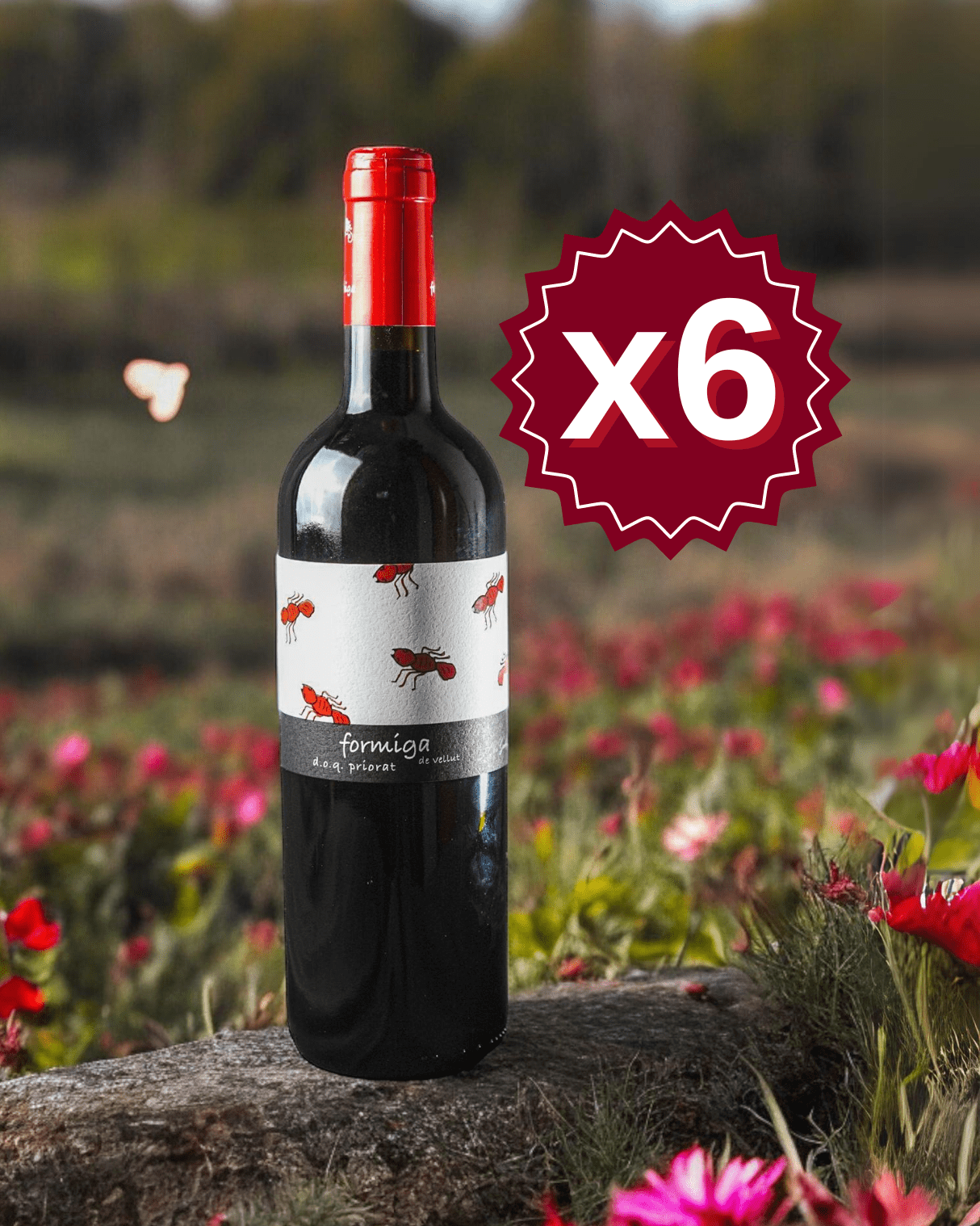 Formiga de Vellut 2021 | Caja de 6 Botellas