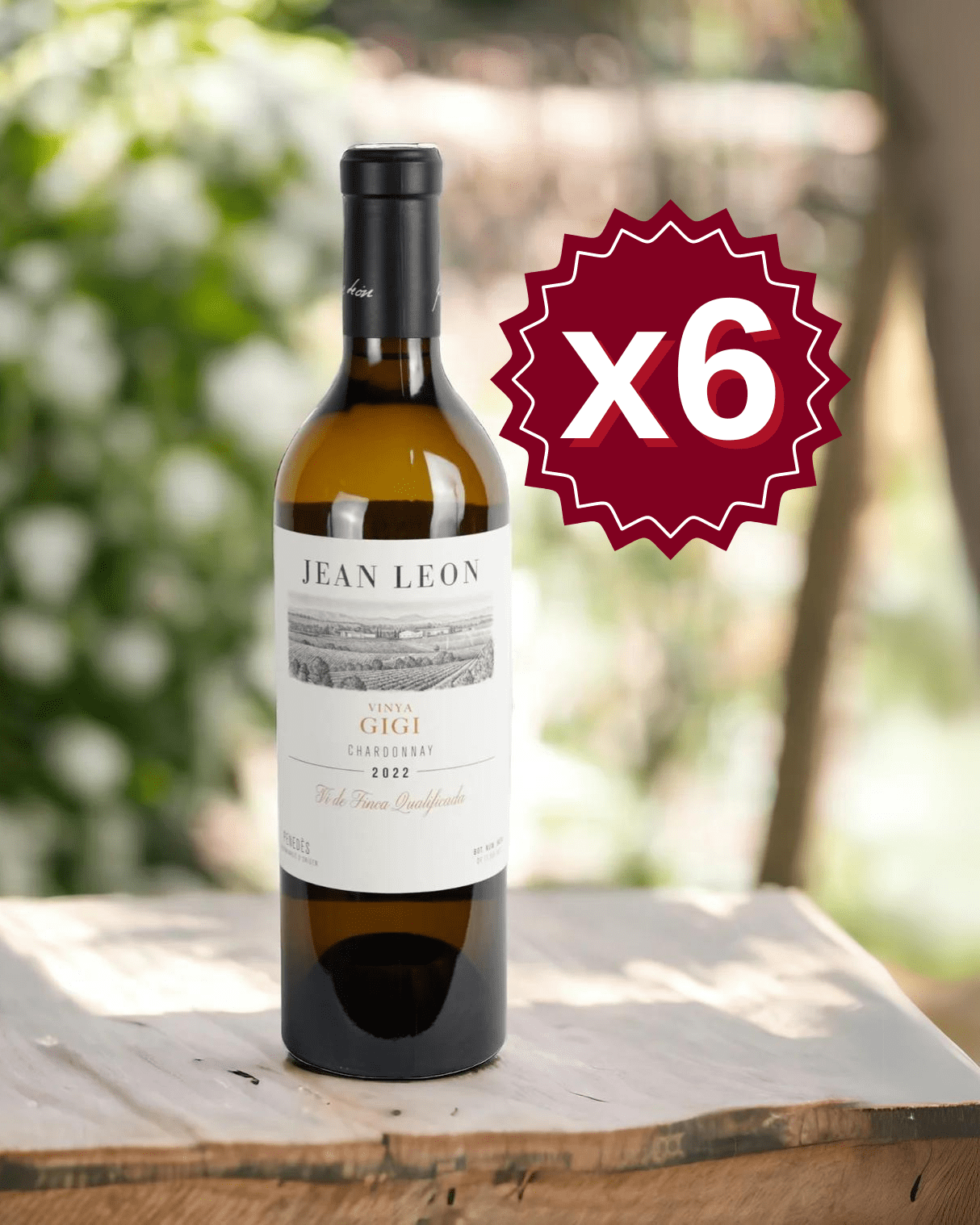 Jean Leon Vinya Gigi 2024 | Caja de 6 Botellas