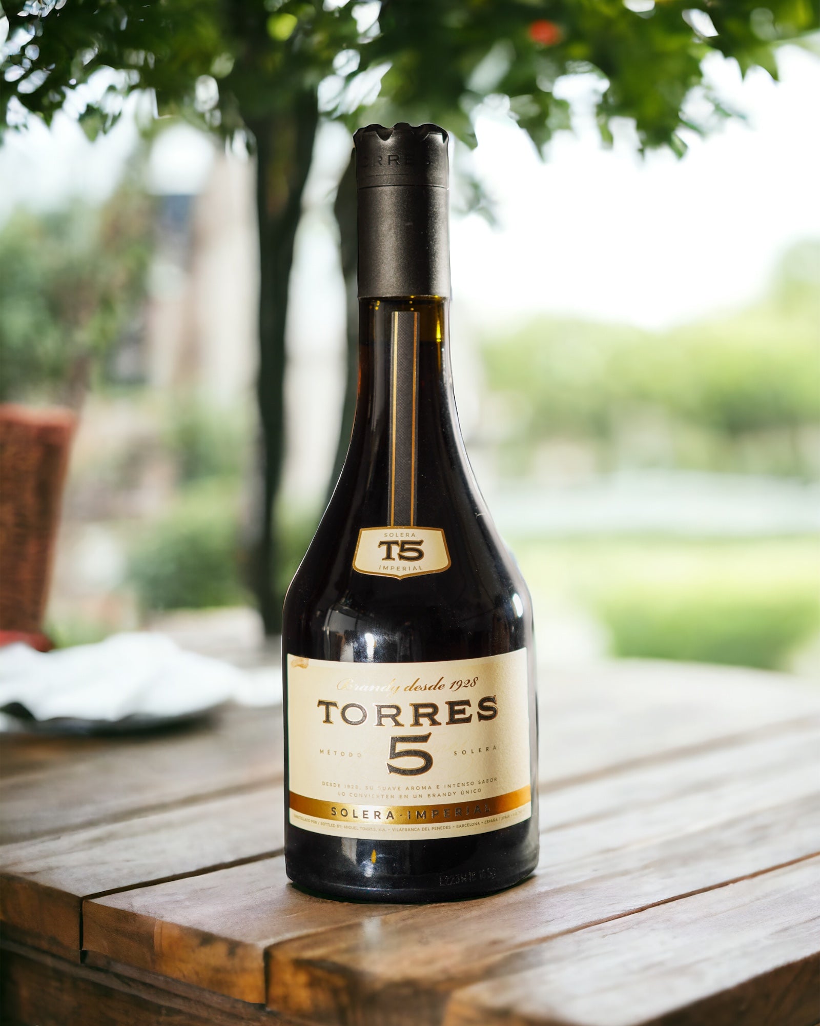 Torres 5 Solera Reserva | Classic Spanish Brandy available in