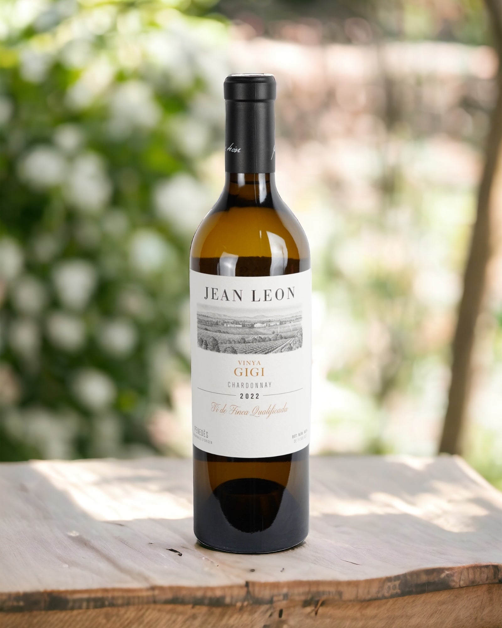 Jean Leon Vinya Gigi 2024 – Chardonnay Ecológico | Barcelona