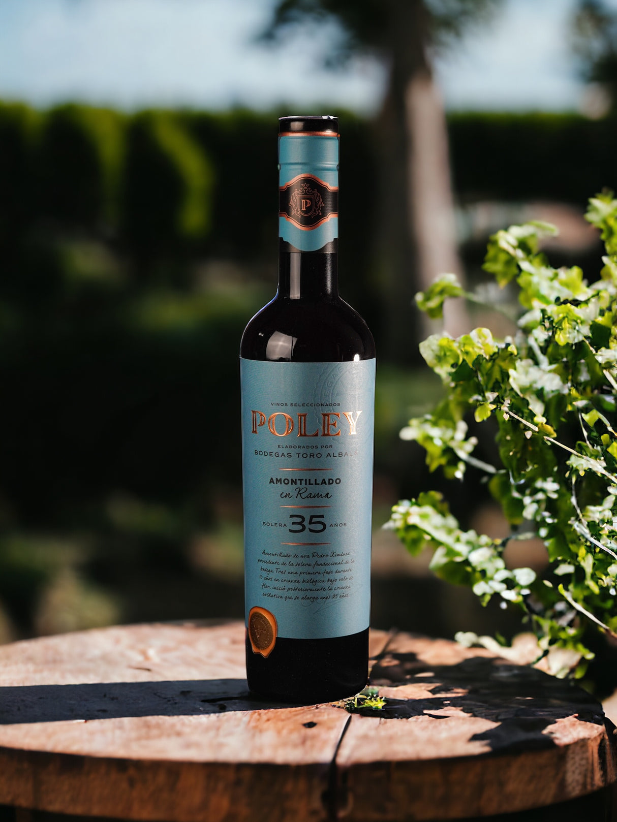 Poley Amontillado en Rama 35 años