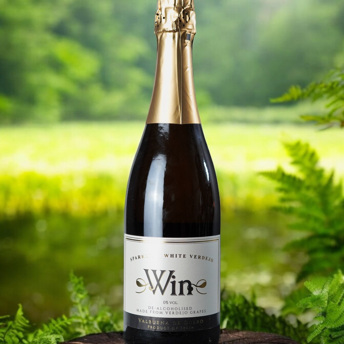 Win 0% Sparkling White | Premium Alcohol-Free Sparkling Wine Barcelona ...